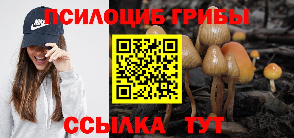 Касимов  Галлюциногенные грибы GOLDEN TEACHER  Вход с VPN 